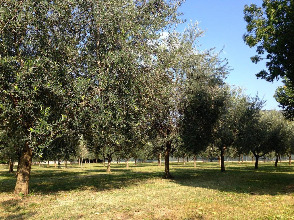 Agriturismo Corte Moranda Verona Exterior photo